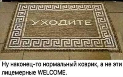 Прикрепленное изображение: 448406080_464135456198434_6319564782756952645_n.jpg